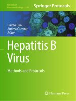 Methods in molecular biology vol 1540 hepatitis b virus methods and protocols
