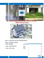 GIẢI PHÁP CHỐNG đầu cơ CHO THỊ TRƯỜNG bất ĐỘNG sản VIỆT NAM 