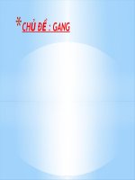 BÀI BÁO CÁO GANG MÔN VẬT LIỆU