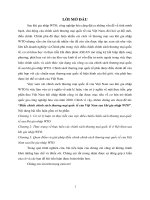 Điều chỉnh chính sách thương mại quốc tế của việt nam sau khi gia nhập WTO 