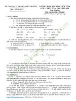 Đề thi học sinh giỏi Lớp 12 Tỉnh Hải Dương Năm Học 20132014