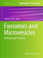 Methods in molecular biology vol 1545 exosomes and microvesicles methods and protocols