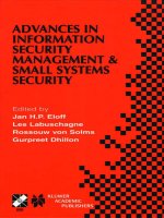 Advances in information security management and small systems security