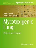 Methods in molecular biology vol 1542 mycotoxigenic fungi methods and protocols