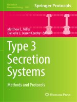Methods in molecular biology vol 1531 type 3 secretion systems methods and protocols