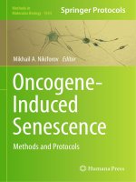 Methods in molecular biology vol 1534 oncogene induced senescence methods and protocols