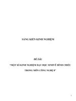 MỘT số KINH NGHIỆM dạy học SINHVẼ HÌNH CHIẾU TRONG môn CÔNG NGHỆ 8 