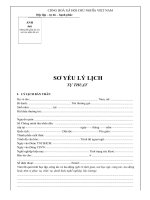 Bản mềm Sơ yếu lí lịch