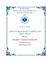 Tiểu luận các loại vật việu làm bao bì thực phẩm