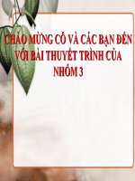 nhận thức và vai trò củả nhận thức đối với thực tiễn