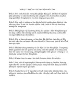 2013 01 noi quy phong thi nghiem hoa hoc