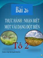 Tư liệu  bài giảng bài 26 Sinh học 9