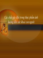 Thảo luận các chất gây độc trong thực phẩm ảnh đến sức khỏe con người