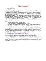 Chu trình nitơ tóm gọn