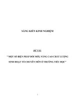 Sáng kiến kinh nghiệm đổi mới, nâng cao chất lượng sinh hoạt tổ chuyên môn 