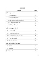 SKKN  sáng kiến kinh nghiệm phương pháp giải một số dạng bài tập về đột biến số lượng nhiễm sắc thể 