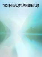 Thực hiện và áp dụng pháp luật