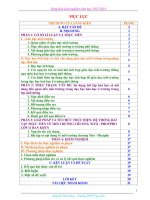 SKKN sáng kiến kinh nghiệm tích hợp giáo dục môi trường cho học sinh thông qua bài tập thực tiễn về môi trường chương nitơ   photpho hoá học 11 nâng cao 