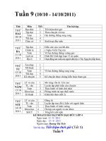 Giáo án địa lí lớp 4 tuần 9 