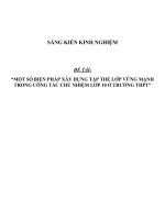 Sáng kiến kinh nghiệm một số BIỆN PHÁP xây DỰNG tập THỂ lớp VỮNG MẠNH TRONG CÔNG tác CHỦ NHIỆM lớp 10 ở TRƯỜNG THPT 