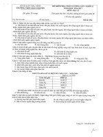 Đề thi học kì 1 môn Địa lý lớp 11 trường THPT Hàn Thuyên, Bắc Ninh năm học 2016 - 2017