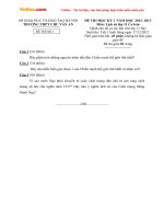 Đề thi học kì I môn Lịch sử lớp 11 cơ bản (Đề 01) - THPT Chu Văn An (2012 - 2013)