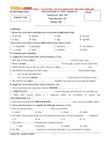 Đề thi giữa học kỳ 1 môn tiếng Anh lớp 10 trường THPT Đa Phúc, Hà Nội năm học 2016 - 2017 có đáp án