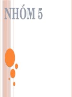 bài slide Dược Lâm Sàng các đường đưa thuốc vào cơ thể