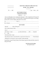 Mẫu quyết định xử phạt vi phạm hành chính