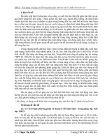 SKKN  xây dựng , sử dụng sơ đồ hóa hướng dẫn học sinh học phần di truyền học sinh học lớp 12 