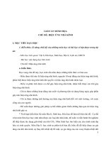 Giáo Án Minh Họa Chủ Đề: Hiệu Ứng Nhà Kính