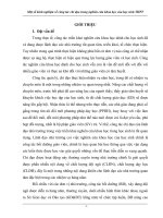 SKKN  một số kinh nghiệm về công chỉ đạo trong nghiên cứu khoa học dành cho học sinh THPT 