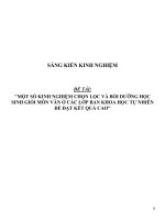 Một số kinh nghiệm chọn lọc và bồi dưỡng học sinh giỏi môn văn ở các lớp ban KHTN để đạt kết quả cao 