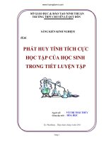 Sáng Kiến Phát Huy Tính Tích Cực Học Tập Của Học Sinh Trong Tiết Luyện Tập
