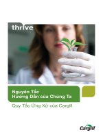 Nguyên Tắc Hướng Dẫn của Chúng Ta