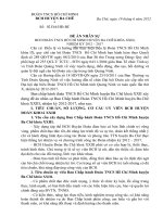 Đề án nhân sự BCH Đoàn TNCS Hồ Chí Minh