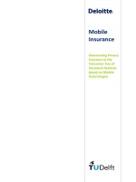M-insurance Overcoming Privacy Concerns in the Consumer Use of Insurance Services based on Mobile Technologies