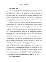 SKKN  một vài biện pháp rèn luyện kĩ năng viết mở bài cho học sinh lớp 10a10 