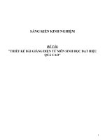 Sáng kiến kinh nghiệm SKKN thiết kế bài giảng điện tử môn sinh học đạt hiệu quả cao 