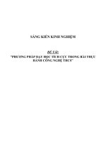Sáng kiến kinh nghiệm SKKN phương pháp dạy học tích cực trong bài thực hành công nghệ THCS 