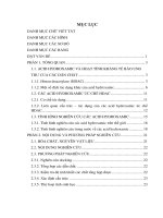 Tổng hợp một số dẫn chất n hydroxybenzamid mang khung 2 oxoindolin hướng kháng tế bào ung thư 