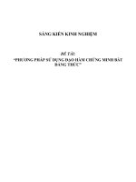 Sáng kiến kinh nghiệm SKKN phương pháp sử dụng đạo hàm chứng minh bất đẳng thức