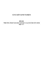 Sáng kiến kinh nghiệm SKKN về phương pháp giải một số dạng bài tập phần cơ chế di truyền và biến dị ở cấp độ tế bào phục vụ cho ôn thi đại học và ôn thi HSG môn sinh học lớp 12 