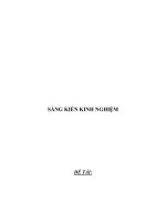 Sáng kiến kinh nghiệm về một số biện pháp giúp học sinh lớp 2 học tốt môn toánh 