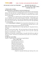 Đề thi học kì 1 môn Ngữ văn lớp 11 Sở GD&ĐT tỉnh Bà Rịa Vũng Tàu năm học 2016 - 2017