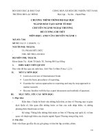 Đề cương chi tiết học phần Anh văn chuyên ngành 1 (đại học Lạc Hồng)