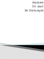 Vấn đề lao động và việc làm ở nông thôn bài THẢO LUẬN NHÓM môn xã hội học NÔNG THÔN 