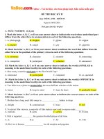 Đề thi học kỳ 2 môn Tiếng Anh lớp 10 THPT Trần Hưng Đạo, TP. Hồ Chí Minh CÓ ĐÁP ÁN