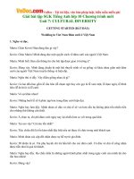 Giải bài tập SGK Tiếng Anh lớp 10 Chương trình mới Unit 7: CULTURAL DIVERSITY