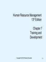 Human resource management mondy 13th edition chapter 07